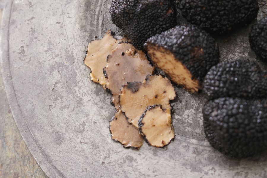 Vendita di tartufo a Ferrara: dove trovare il meglio per la tua tavola