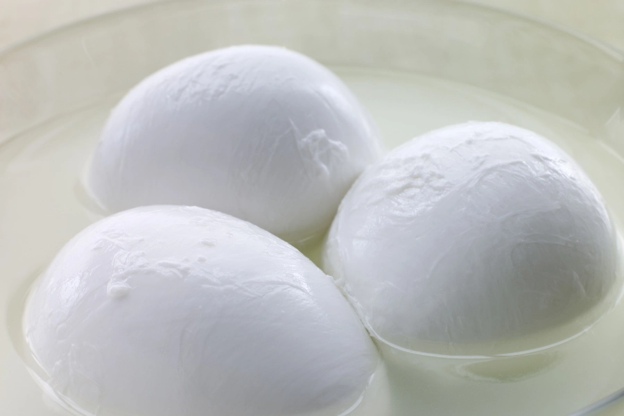 conservazione della mozzarella di bufala