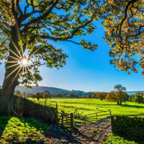 Agriturismo a Venezia: un’esperienza autentica tra natura e tradizione