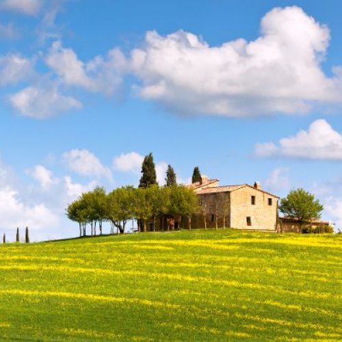 Agriturismo ad Alba: un’esperienza autentica tra natura e tradizione