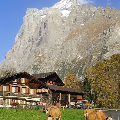 Scopri il fascino autentico di un agriturismo con animali a Ventasso