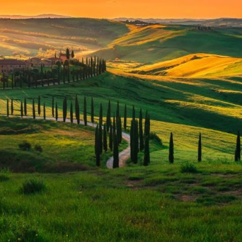 Agriturismo in provincia di Vicenza: un’esperienza autentica tra natura e sapori genuini