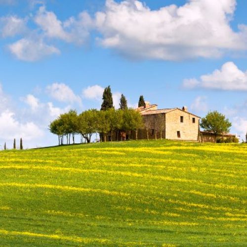 Agriturismo nel parco a Livergnano: un’oasi di tranquillità e natura