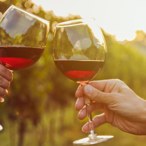 Tradizione e terroir: alla scoperta di un’azienda vinicola nel cuore di Mamoiada