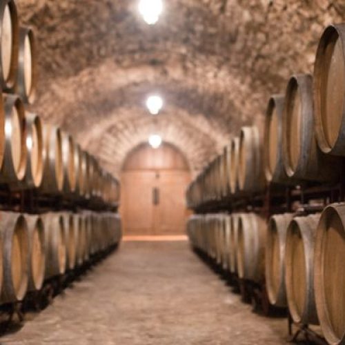 Azienda vinicola ad Asti: tradizione e qualità nella terra del vino