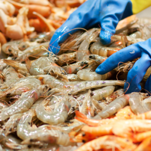 Gusto di mare a casa tua: come scegliere una ristopescheria con consegna a domicilio a Termini Imerese