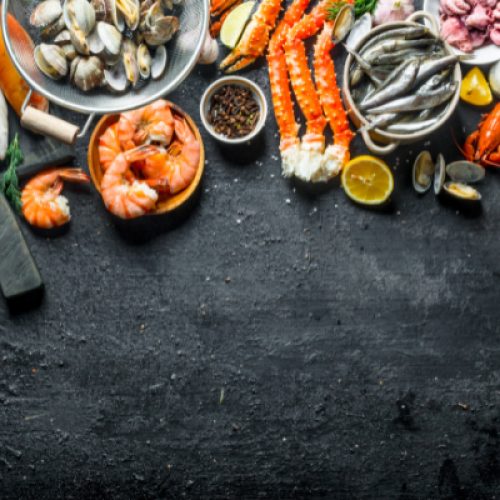 Dove mangiare pesce fresco a Lecce: un’esperienza da vivere in pieno centro storico