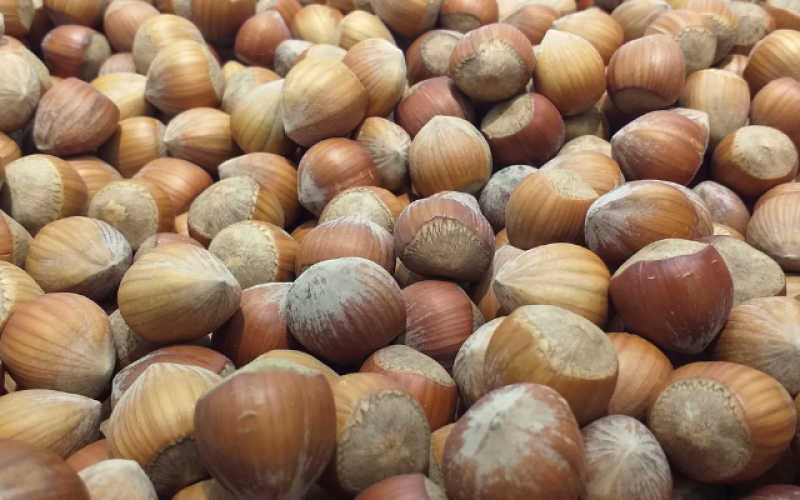 Nocciole biologiche di qualità: perché scegliere produttori locali a Caianello