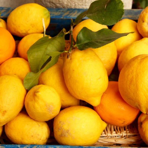 Vendita di limoni siciliani a Fondi: un patrimonio di sapore e qualità