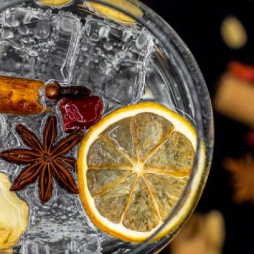 Gineria a Lodi: il luogo perfetto per gli amanti dei gin e dei cocktail