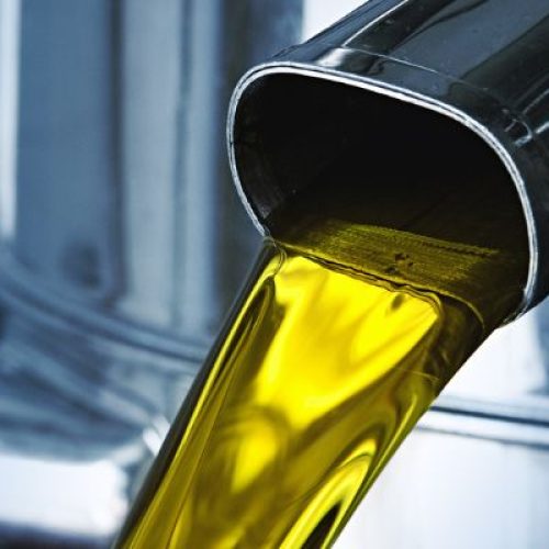 Scopri l’autentico olio d’oliva a Castagneto Carducci: vendita diretta dai produttori locali