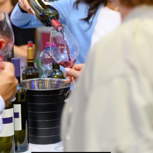 Le Sagre del Vino in Italia: Una Guida Completa per gli Amanti del Buon Bere